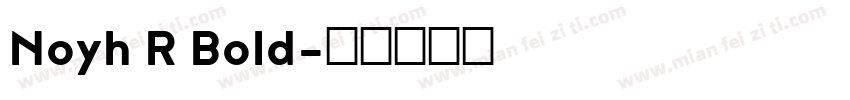 Noyh R Bold字体转换